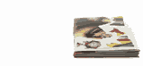 ththbook.gif image by rokieroxsox
